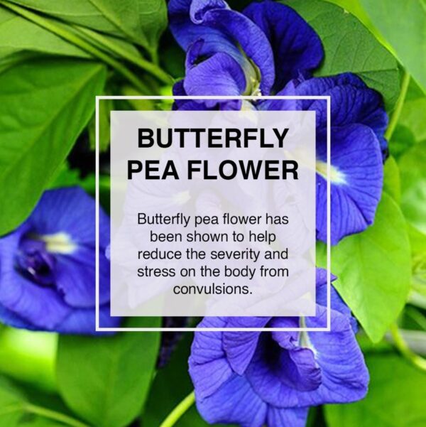 Butterfly pea flower