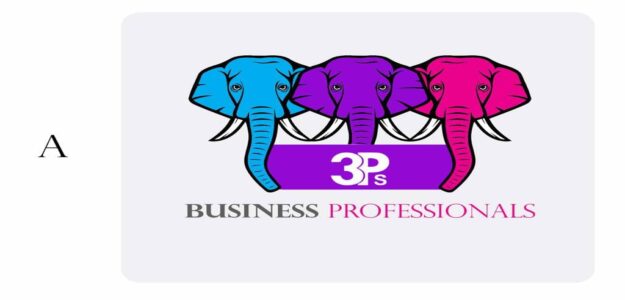 3PS BUSINESS PROFESSIONALS